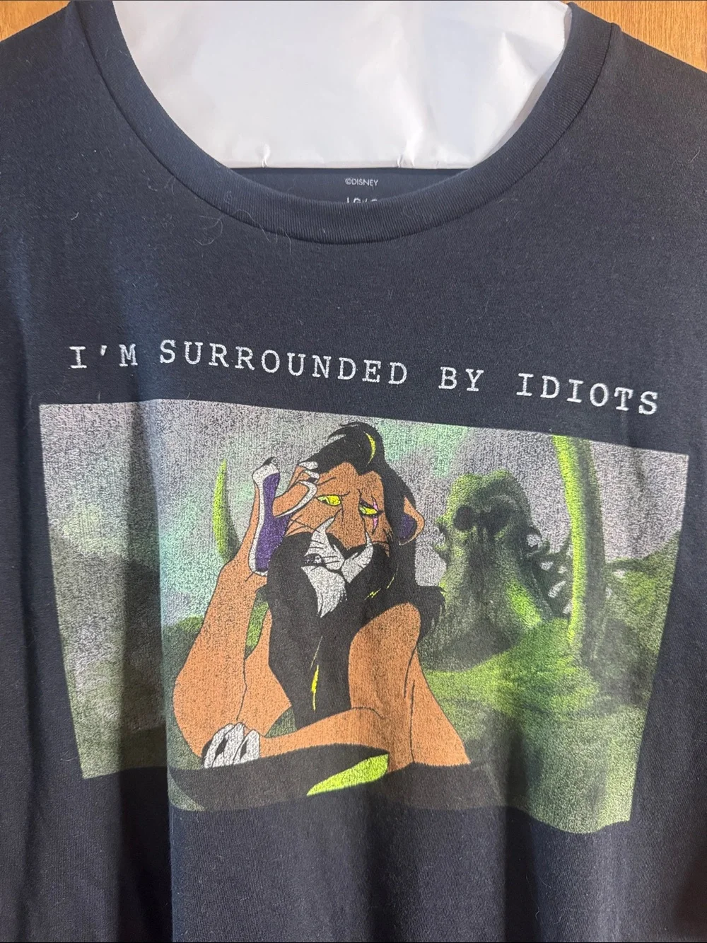 Disney black dog